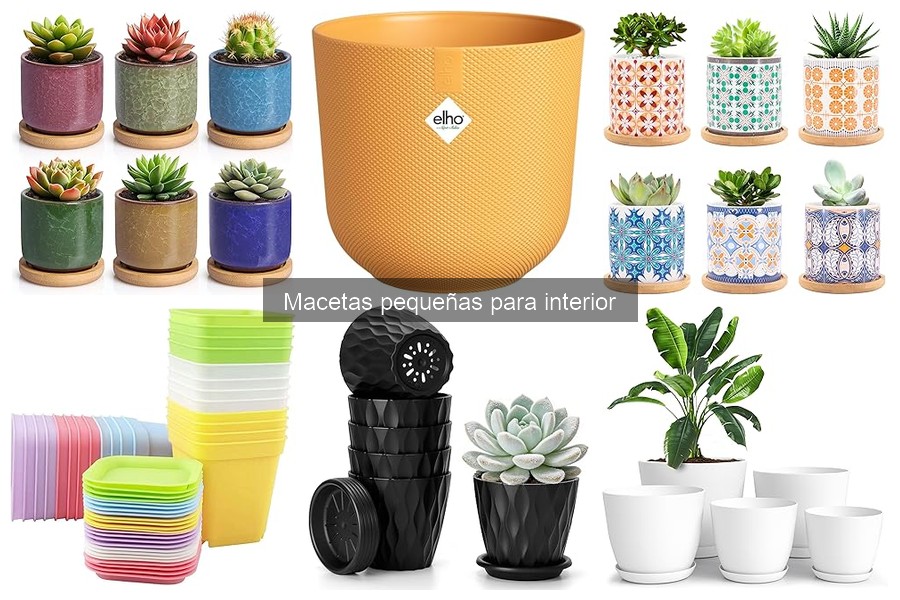 Cómo elegir la maceta pequeña ideal para tus plantas