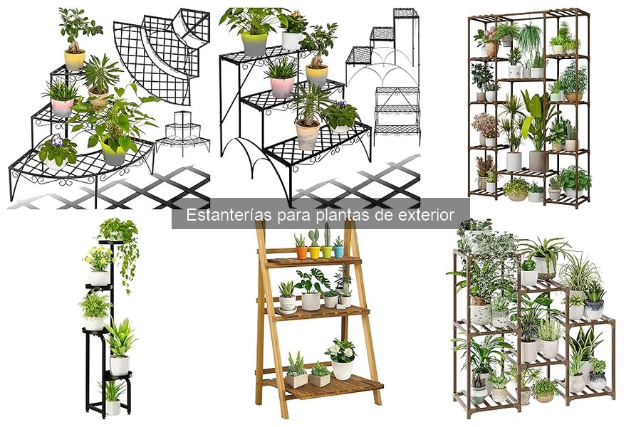 Cómo elegir la mejor estantería para plantas de exterior