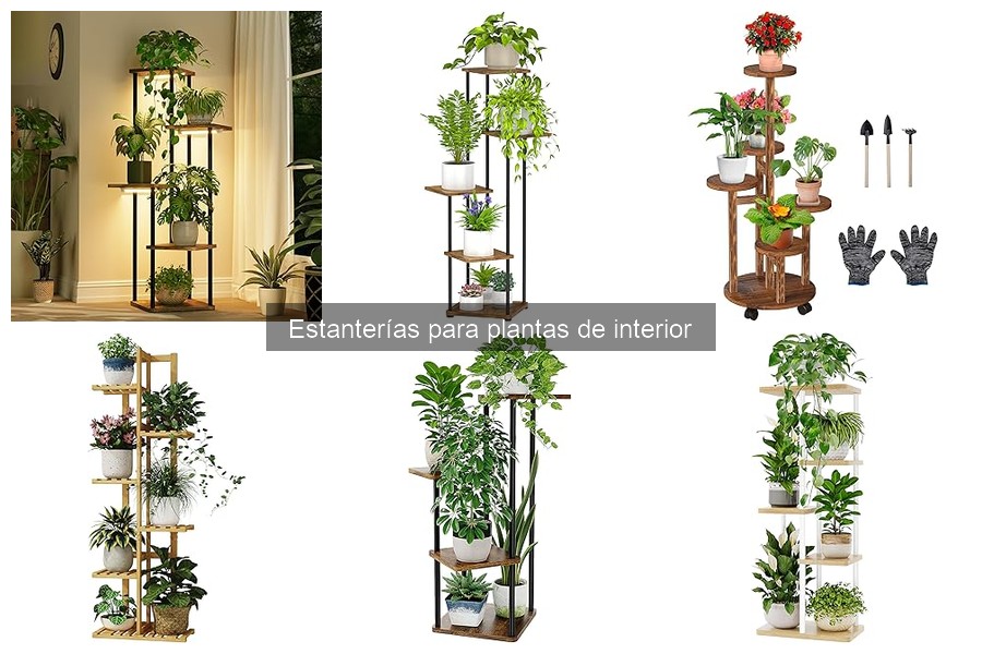 Cómo elegir la mejor estantería para plantas de interior