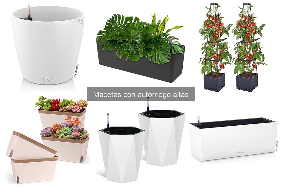 Cómo elegir la mejor maceta con autorriego alta