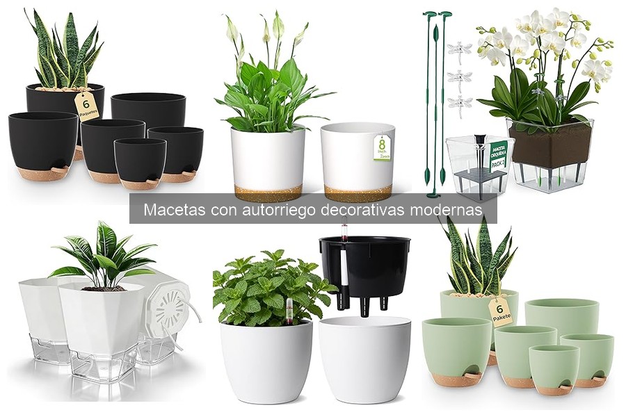Cómo elegir la mejor maceta con autorriego decorativa
