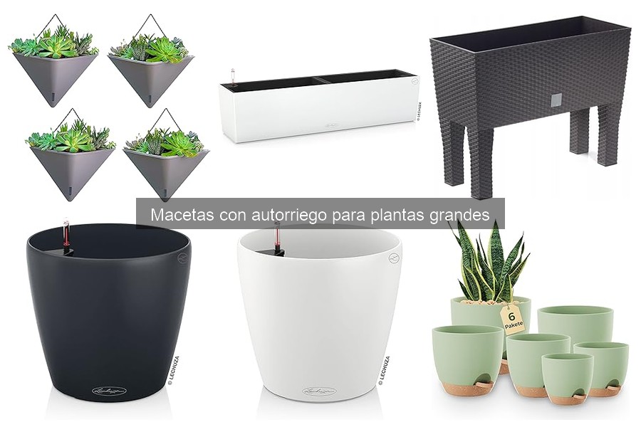 Cómo elegir la mejor maceta con autorriego para plantas grandes