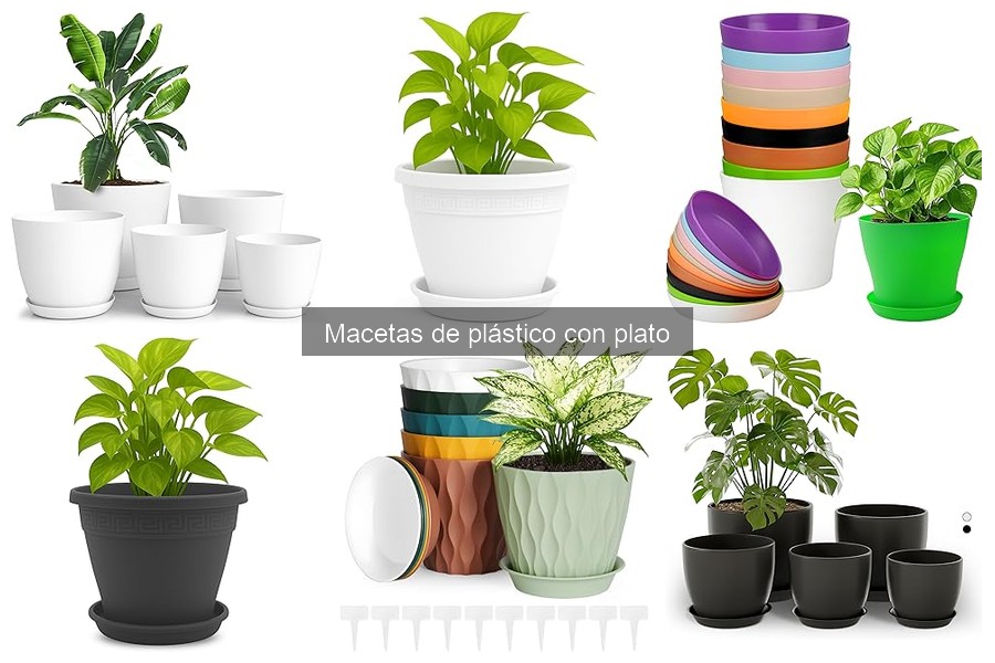 Cómo elegir la mejor maceta de plástico con plato