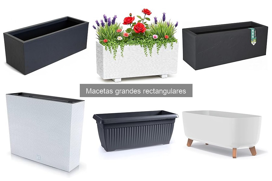 Cómo elegir la mejor maceta grande rectangular para interior