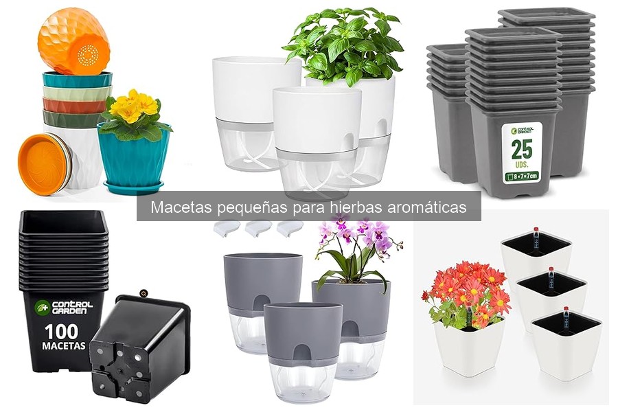 Cómo elegir la mejor maceta pequeña para hierbas aromáticas