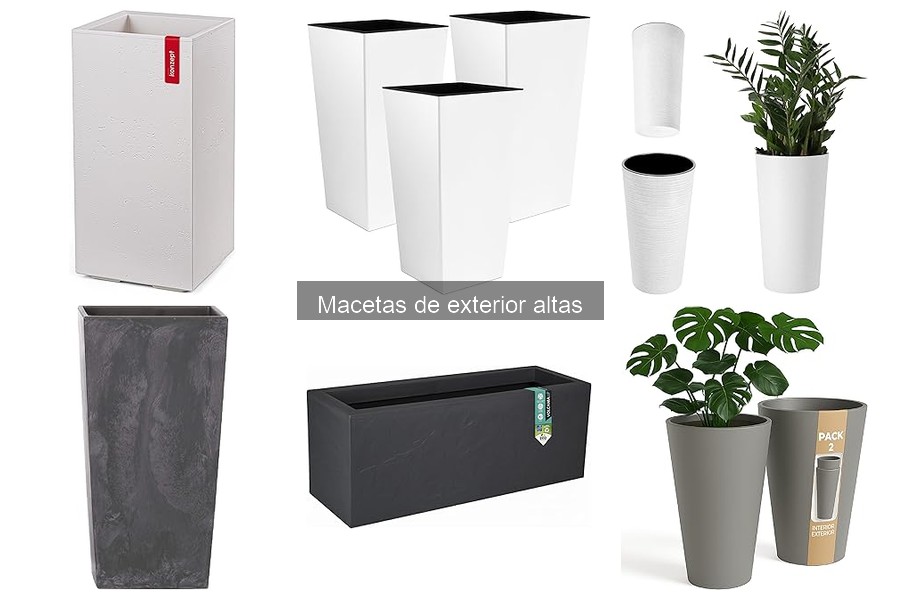 Cómo elegir la ubicación perfecta para macetas altas