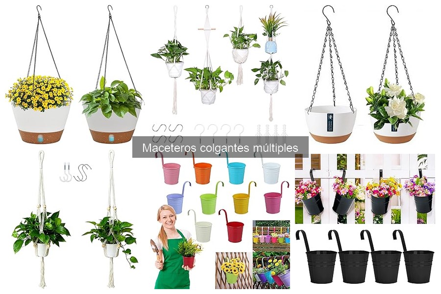 Cómo elegir los mejores maceteros colgantes múltiples para interiores