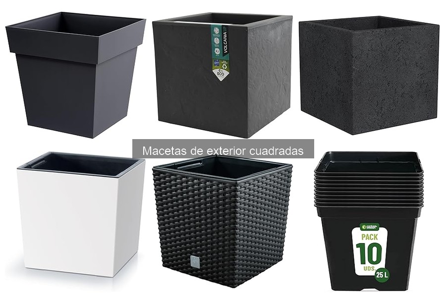 Cómo Elegir Macetas Cuadradas para Exteriores: Guía de Compra
