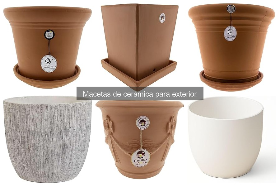 Cómo elegir macetas de cerámica para exteriores