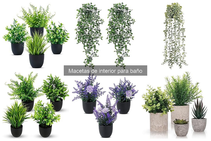 Cómo elegir macetas de interior ideales para tu baño