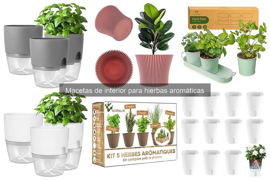 Cómo Elegir Macetas de Interior para Hierbas Aromáticas