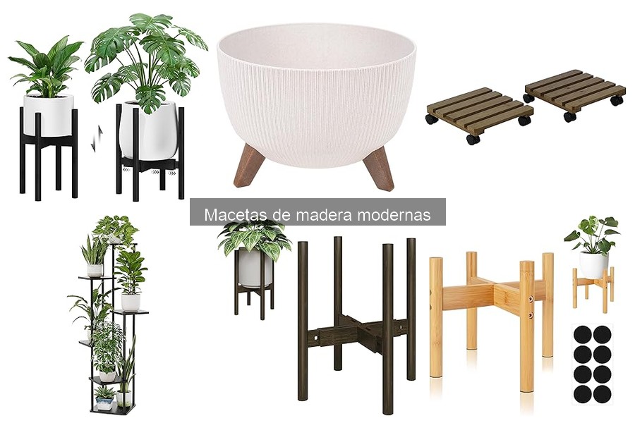 Cómo elegir macetas de madera modernas para tus plantas