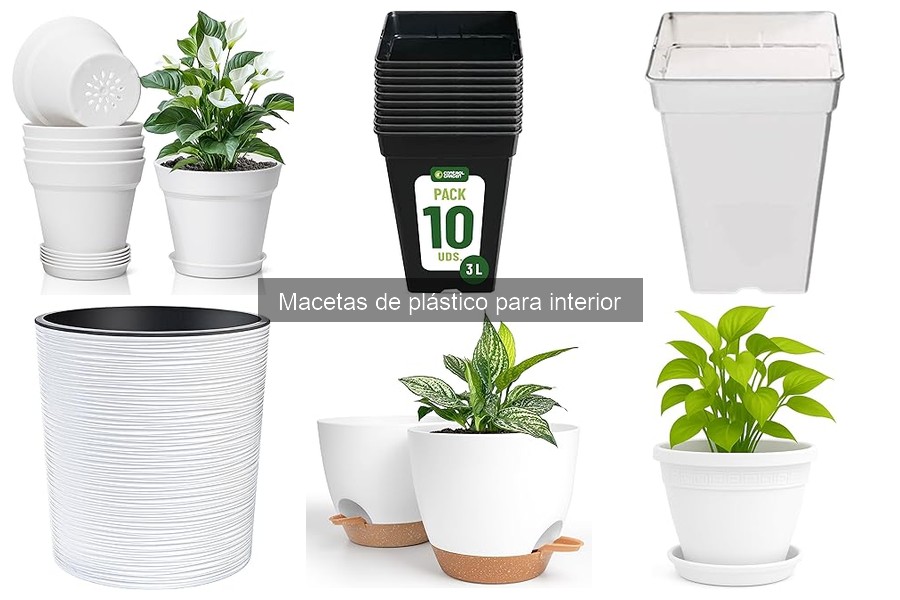 Cómo Elegir Macetas de Plástico para Interior: Guía Práctica