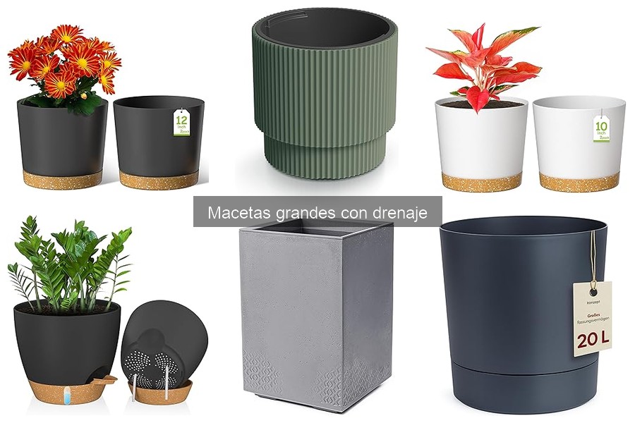 ** Cómo elegir macetas grandes con drenaje para tus plantas
