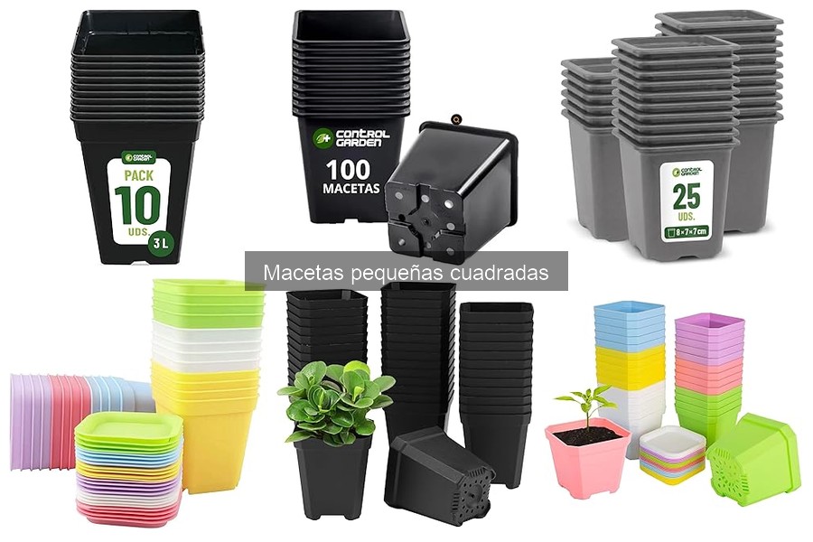 Cómo elegir macetas pequeñas cuadradas para tus plantas