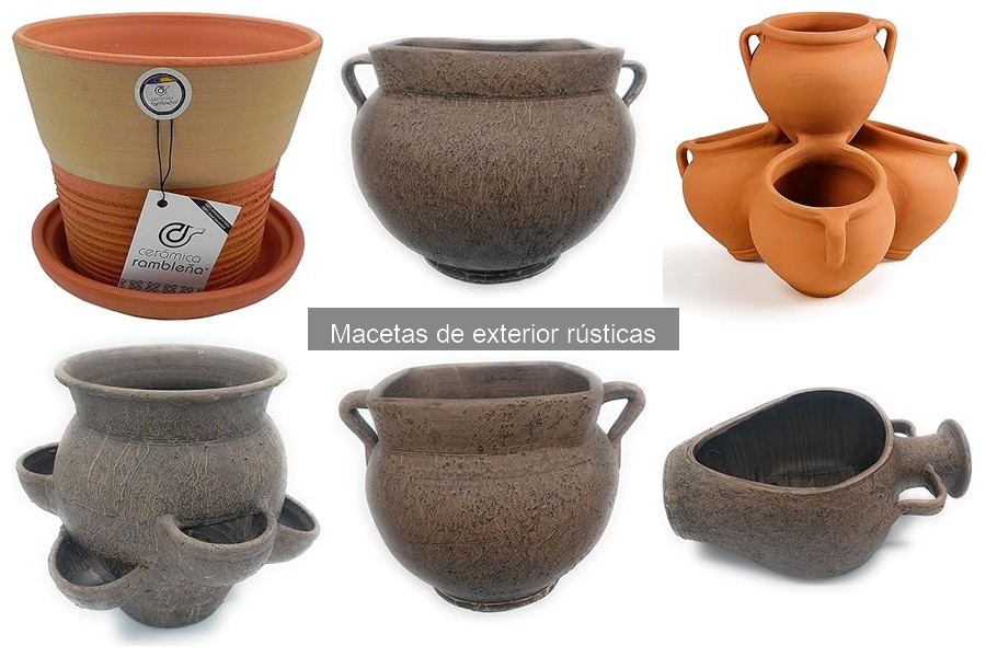 Cómo Elegir Plantas para Macetas Rústicas en Exterior
