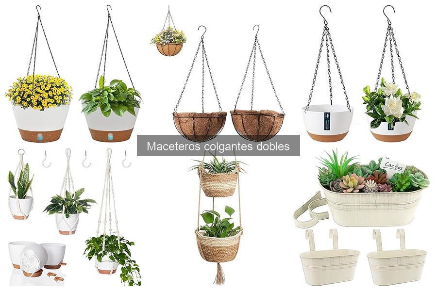 Cómo Elegir Plantas para Maceteros Colgantes Dobles