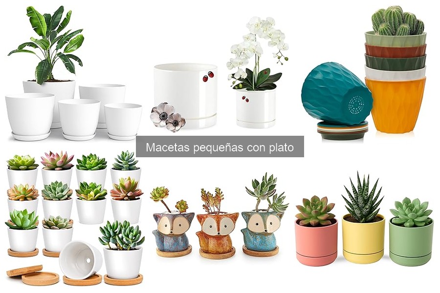 Cómo evitar el agua estancada en macetas pequeñas con plato