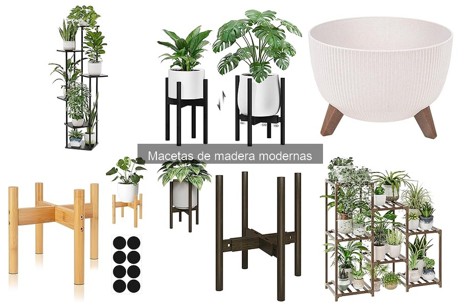 Cómo evitar el deterioro de macetas de madera modernas