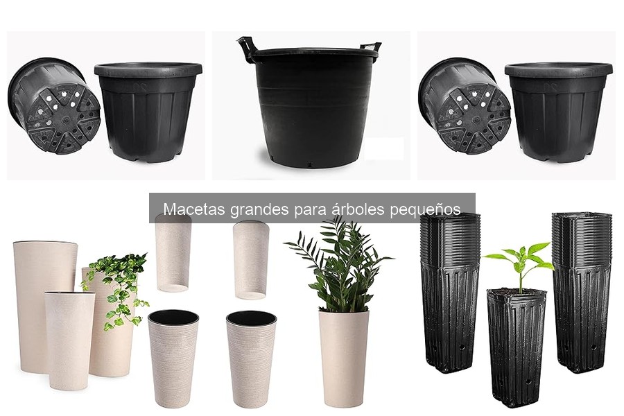 Cómo evitar el mal drenaje en macetas grandes para árboles