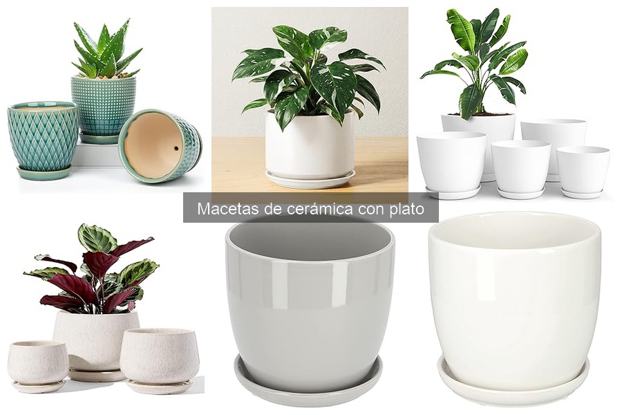 Cómo evitar que el agua se acumule en el plato de macetas de cerámica