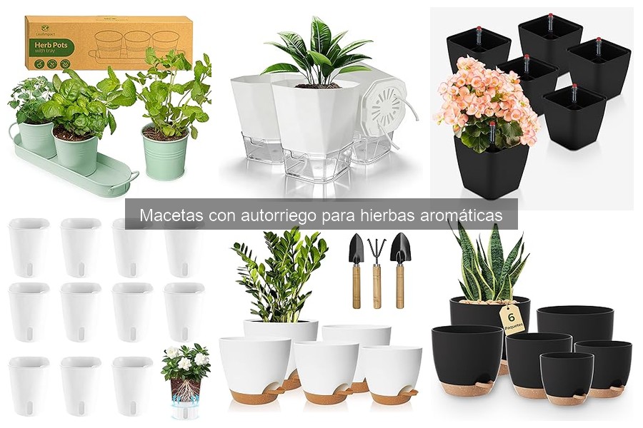 Cómo Funcionan las Macetas con Autorriego para Hierbas Aromáticas
