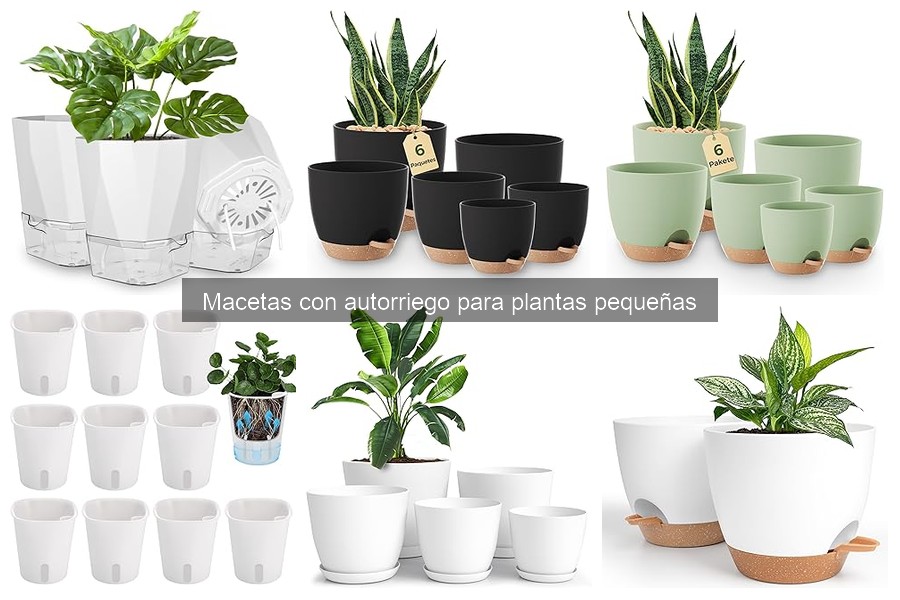 Cómo Funcionan las Macetas con Autorriego para Plantas Pequeñas