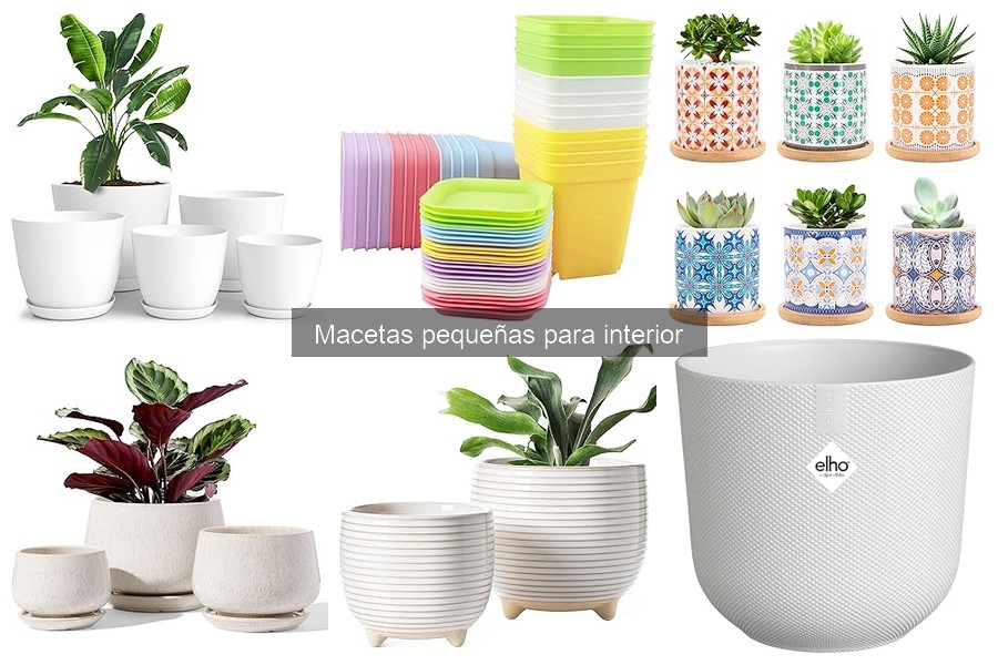 Cómo Hacer Macetas Pequeñas DIY con Materiales Reciclados