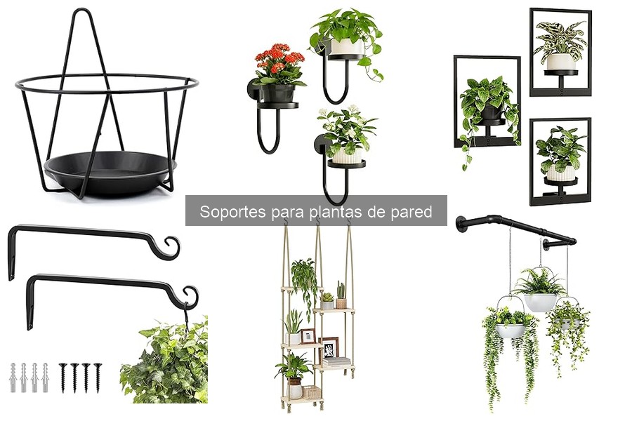 Cómo Hacer Soportes para Plantas de Pared DIY