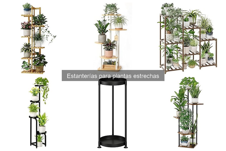 Cómo instalar estanterías estrechas para plantas fácilmente