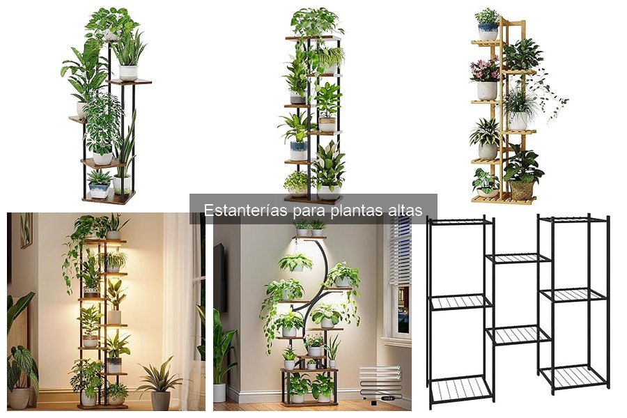 Cómo instalar estanterías para plantas altas fácilmente