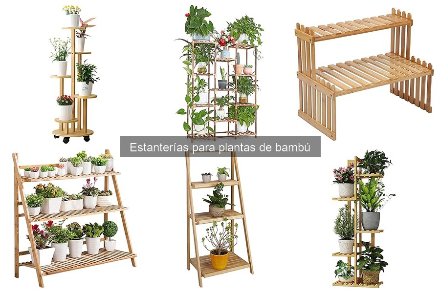 Cómo Instalar Estanterías para Plantas de Bambú Correctamente