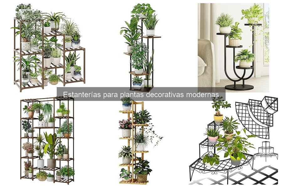 Cómo instalar estanterías para plantas decorativas modernas