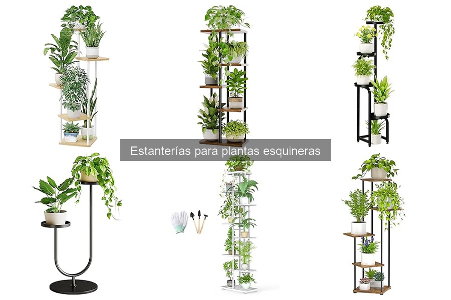 Cómo Instalar Estanterías para Plantas Esquineras de Forma Fácil