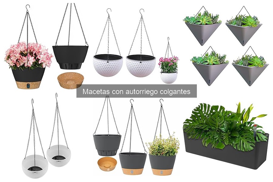 Cómo instalar macetas con autorriego colgantes fácilmente