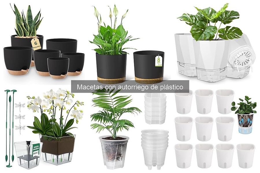Cómo Instalar Macetas con Autorriego de Plástico Eficazmente