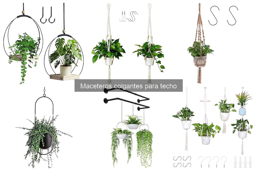 Cómo Instalar Maceteros Colgantes en el Techo Fácilmente