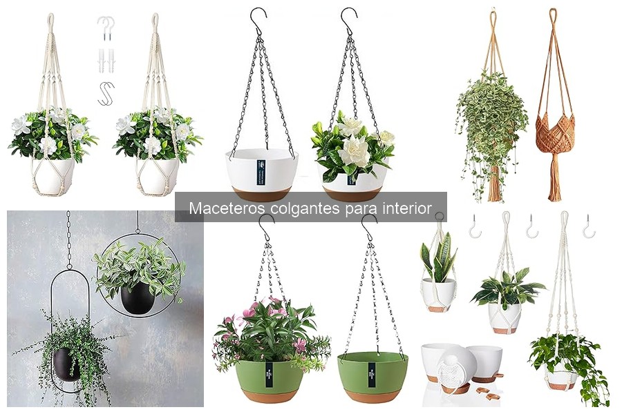 Cómo Instalar Maceteros Colgantes para Interior Correctamente
