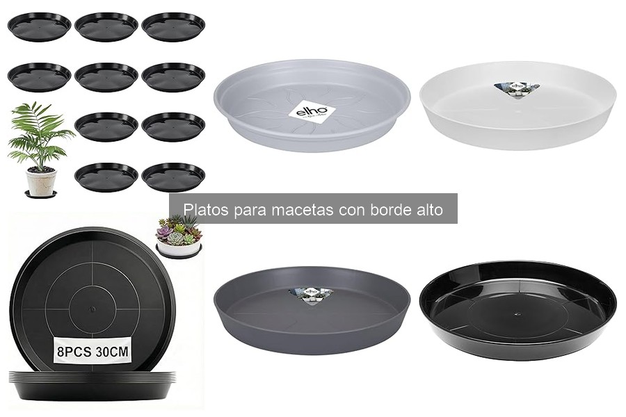 Cómo instalar platos para macetas con borde alto fácilmente