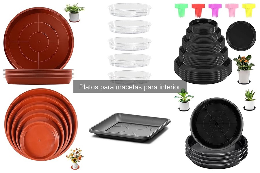Cómo instalar platos para macetas: guía paso a paso