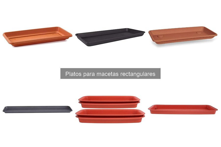 Cómo instalar platos para macetas rectangulares fácilmente