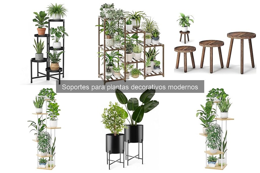 Cómo Instalar Soportes Decorativos para Plantas Modernos
