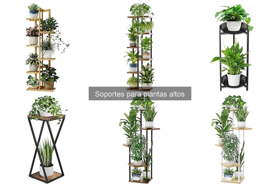 Cómo instalar soportes para plantas altos: guía práctica