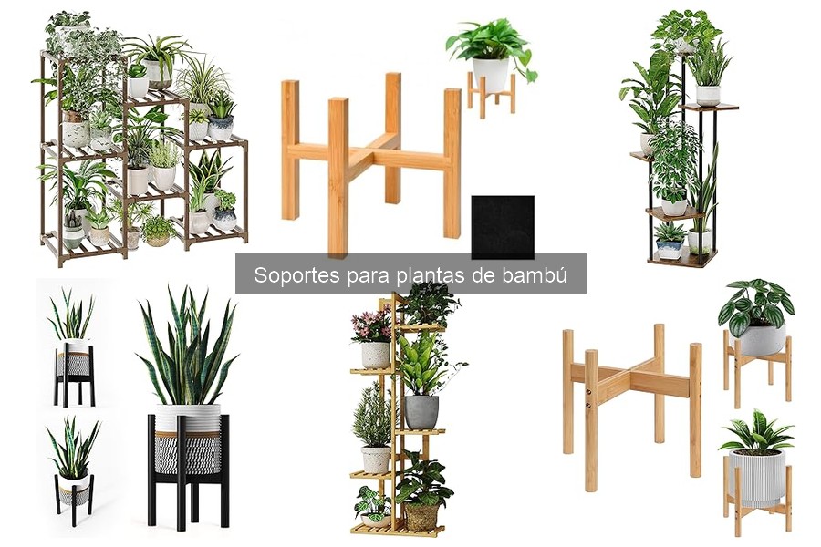 Cómo instalar un soporte para plantas de bambú fácilmente