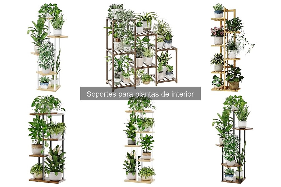 Cómo instalar un soporte para plantas de interior fácilmente