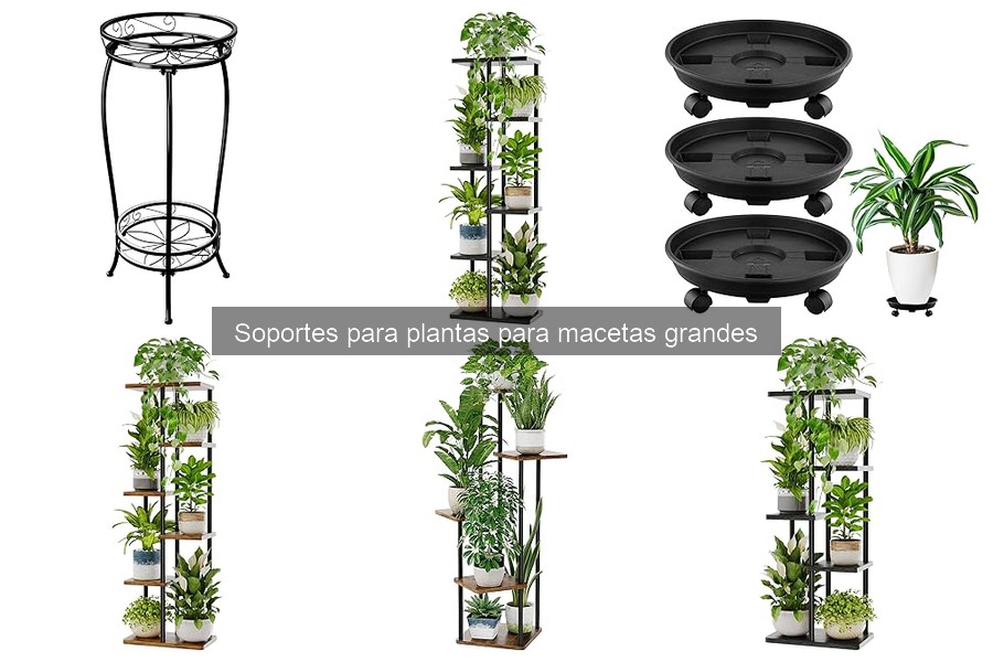 Cómo Instalar un Soporte para Plantas en Casa: Guía Práctica