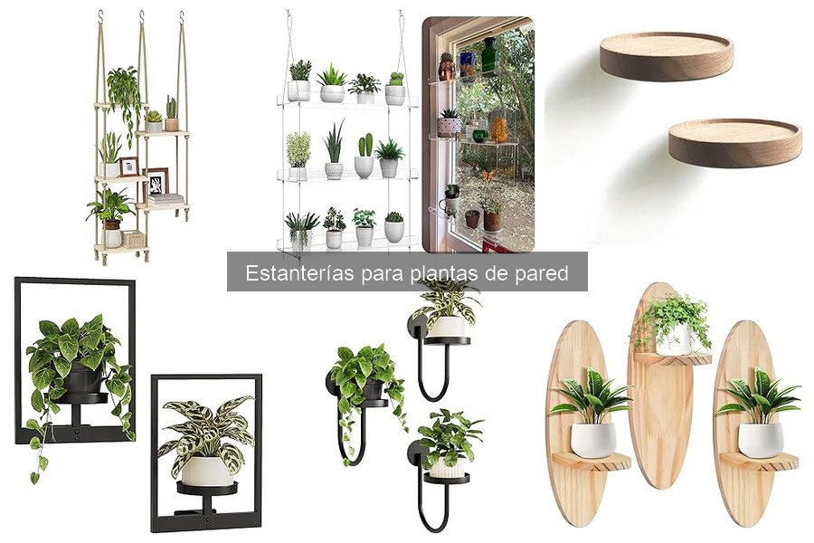 Cómo instalar una estantería para plantas de pared fácilmente