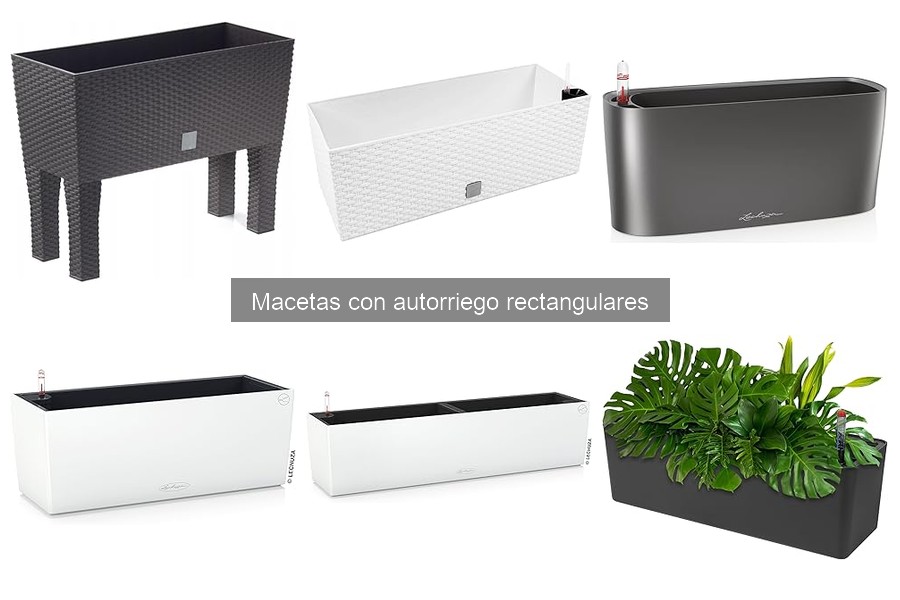 Cómo Instalar una Maceta con Autorriego Rectangular
