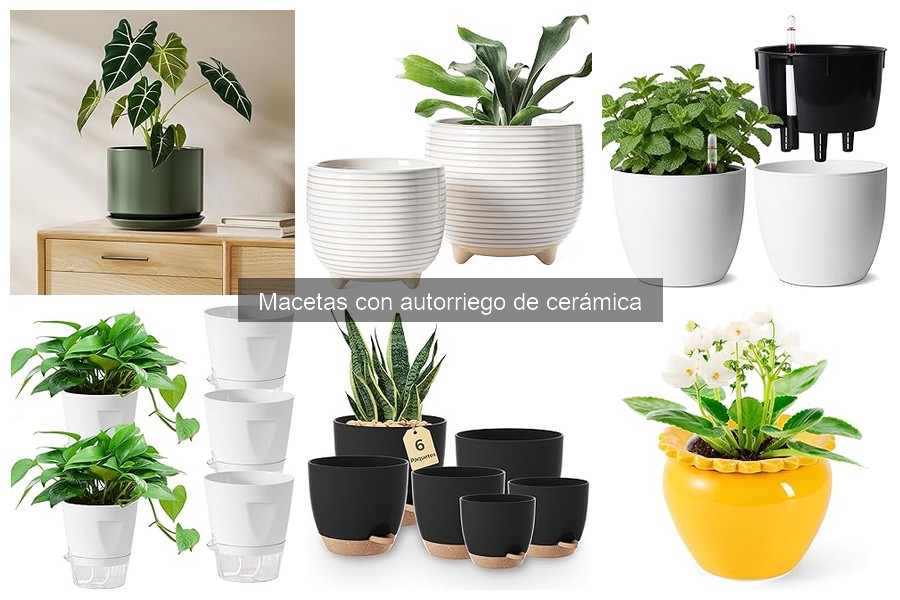 Cómo Instalar y Usar Macetas con Autorriego de Cerámica