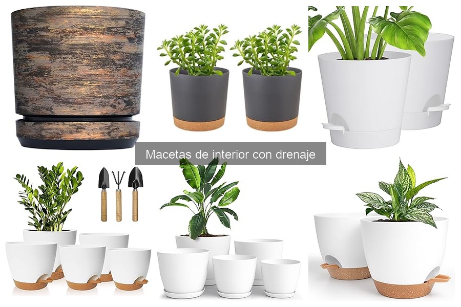 Cómo instalar y usar macetas de interior con drenaje